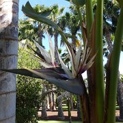 Baja2011 096 : Baja2011